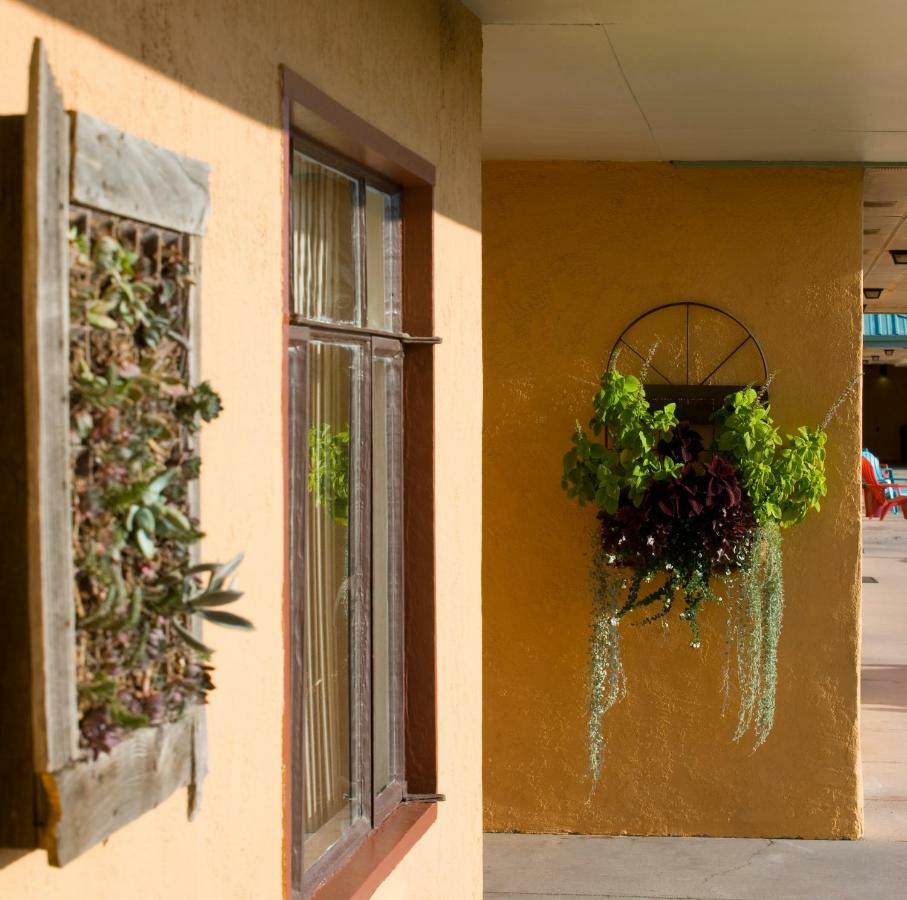 Sunset Motel Moriarty Bagian luar foto